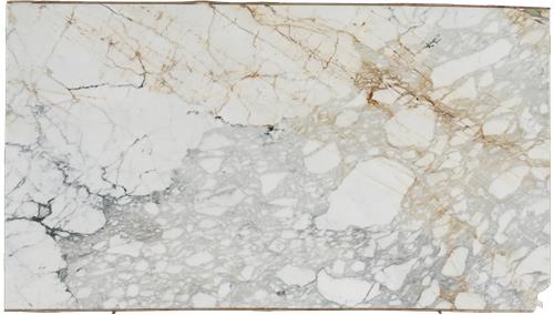 Paonazzo Gold Marble