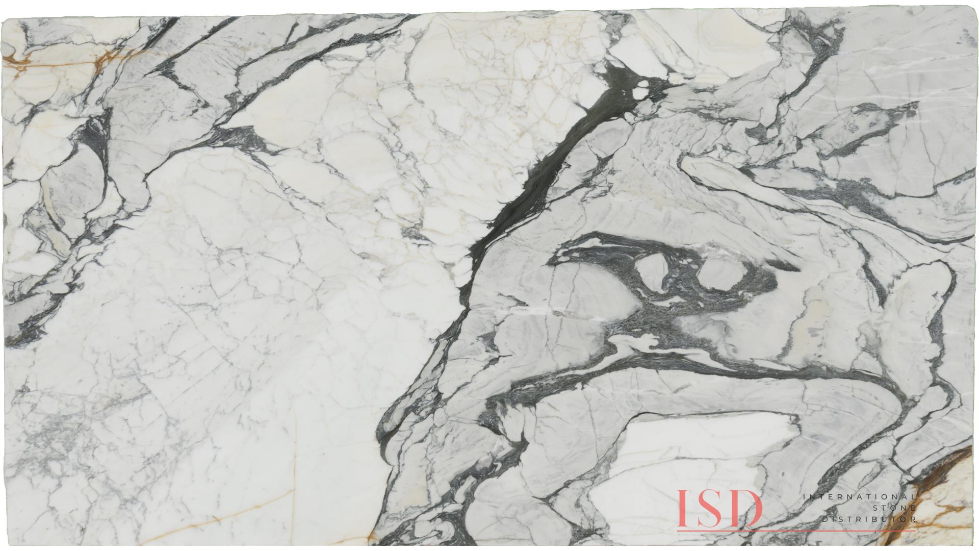 Calacatta Picasso Marble Slabs