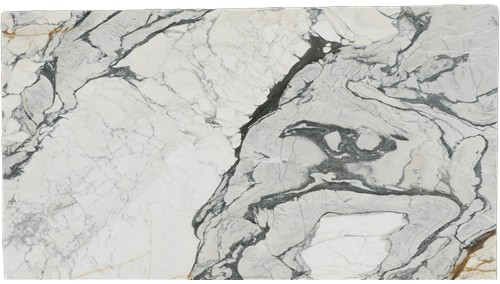 Calacatta Picasso Marble