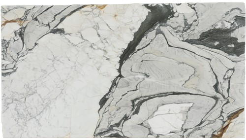 Calacatta Picasso Marble
