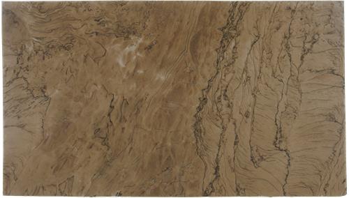 Champane Brown Quartzite