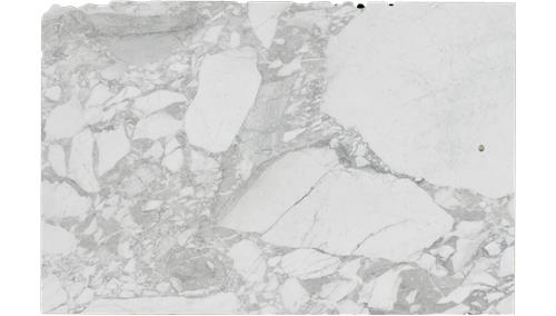 Arabescato Vagli Marble