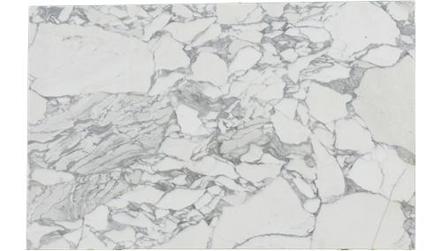 Arabescato Corchia Marble
