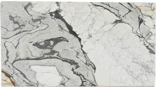 Calacatta Picasso Marble