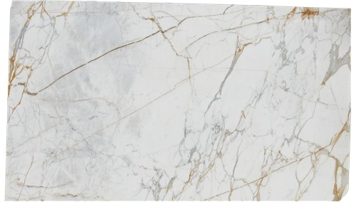 Statuario Gold Marble