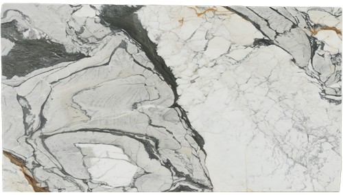 Calacatta Picasso Marble