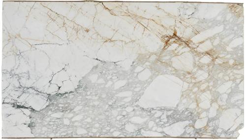 Paonazzo Gold Marble