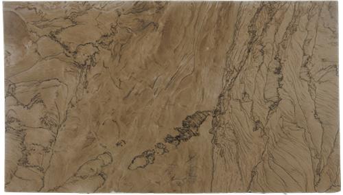 Champane Brown Quartzite