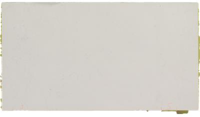 Calacatta Botanica 3CM 64x127 Quartz