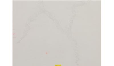 Calacatta Nuvo 2CM 56.5x120 Quartz