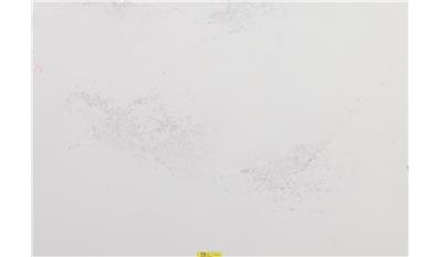 Empira White 2CM 64.5x131.5 Quartz