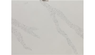 Calacatta Venice 2CM 63x127 Quartz