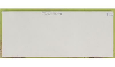 Snow Storm 3CM 63x130 Quartz