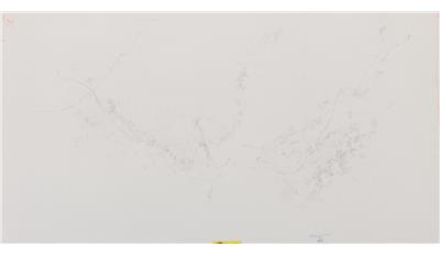 Empira White 2CM 64.5x131.5 Quartz