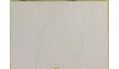 Calacatta Nuvo 3CM 64.5x131.5 Quartz