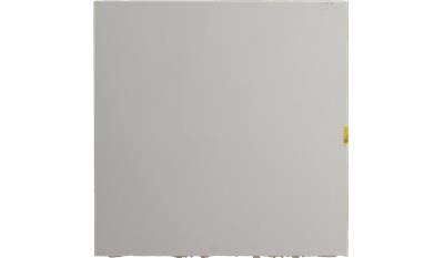 Vivid White 2CM 56.5x120 Quartz