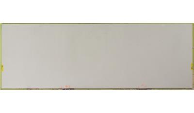 Frosty Carrina 2CM 56.5x120 Quartz