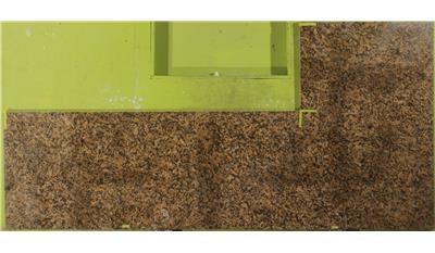 Giallo Fiorito Granite