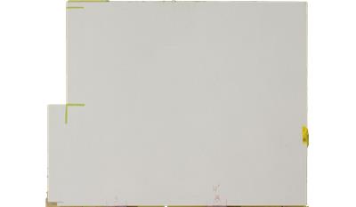 Organic White 2CM 64.5x131.5 Quartz