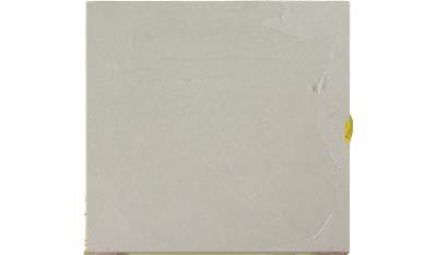 Cosmopolitan White 2CM 56.5x120 Quartz