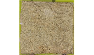 New Venetian Gold Granite