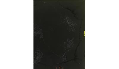 Empira Black 2CM 56.5x120 Quartz