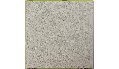 Monet 2CM 118x63 Quartz