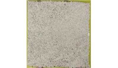 Ashen White(Ornamental White) Granite