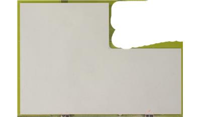 Calacatta Vicenza Matte 2CM 64x127 Quartz