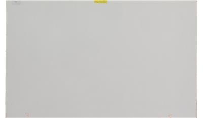 Vivid White 2CM 56.5x120 Quartz