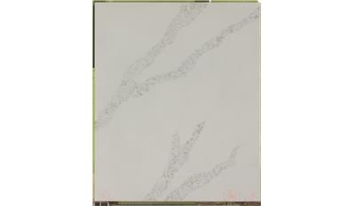 Calacatta Venice 3CM 63x127 Quartz