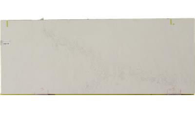Calacatta Nuvo 2CM 56.5x120 Quartz