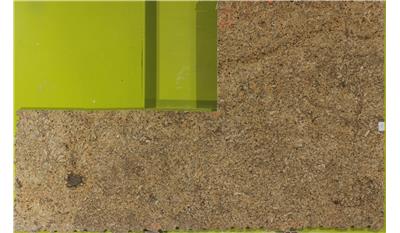 New Venetian Gold Granite