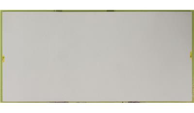 Frosty Carrina 2CM 56.5x120 Quartz