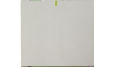 Snow Flurry 2CM 63x120 Quartz