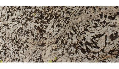 Delicatus Gold Granite