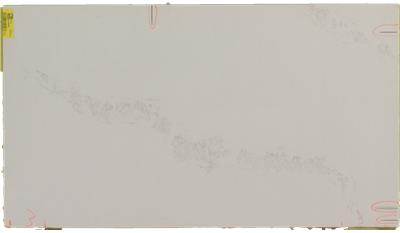 Calacatta Nuvo 2CM 64.5x131.5 Quartz