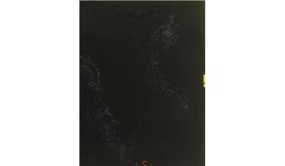 Empira Black 2CM 56.5x120 Quartz