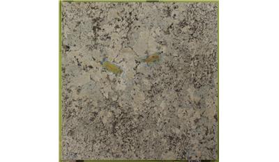 Alaska White 3CM Granite