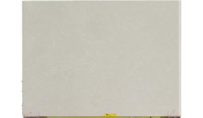 Cosmopolitan White 2CM 56.5x120 Quartz