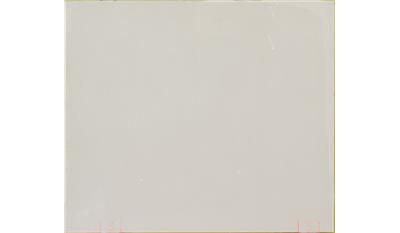 Stellar White 2CM 66x131 Quartz