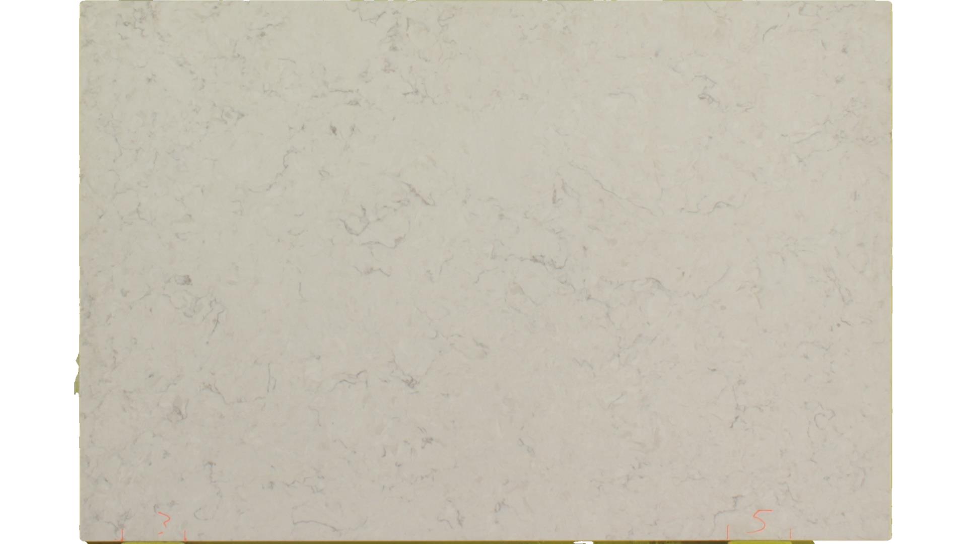 Carrara Mist 3CM 64x127 Quartz Slabs