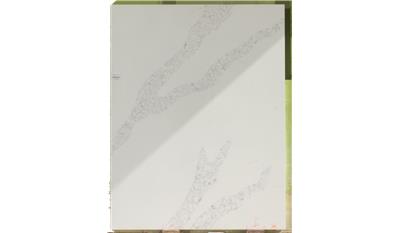 Calacatta Venice 3CM 63x127 Quartz