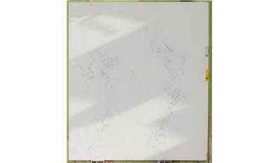 Empira White 2CM 56.5x120 Quartz