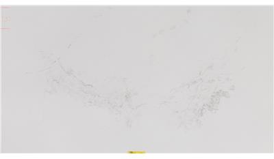 Empira White 3CM 64.5x131.5 Quartz