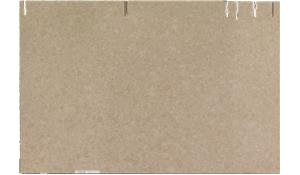Caraway Corian Quartz