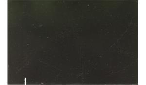 Night Soapstone Zodiaq