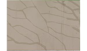 Watch Hill Calacatta Pride Quartz