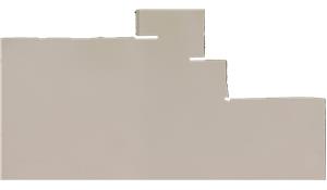 Premium Plus White Q Quartz (MSI)