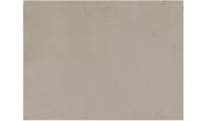 Iced White Q Quartz (MSI)